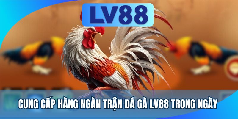 Cung cấp hàng ngàn trận đá gà LV88 trong ngày